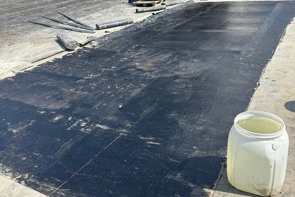 cropped-photo1690726232_1